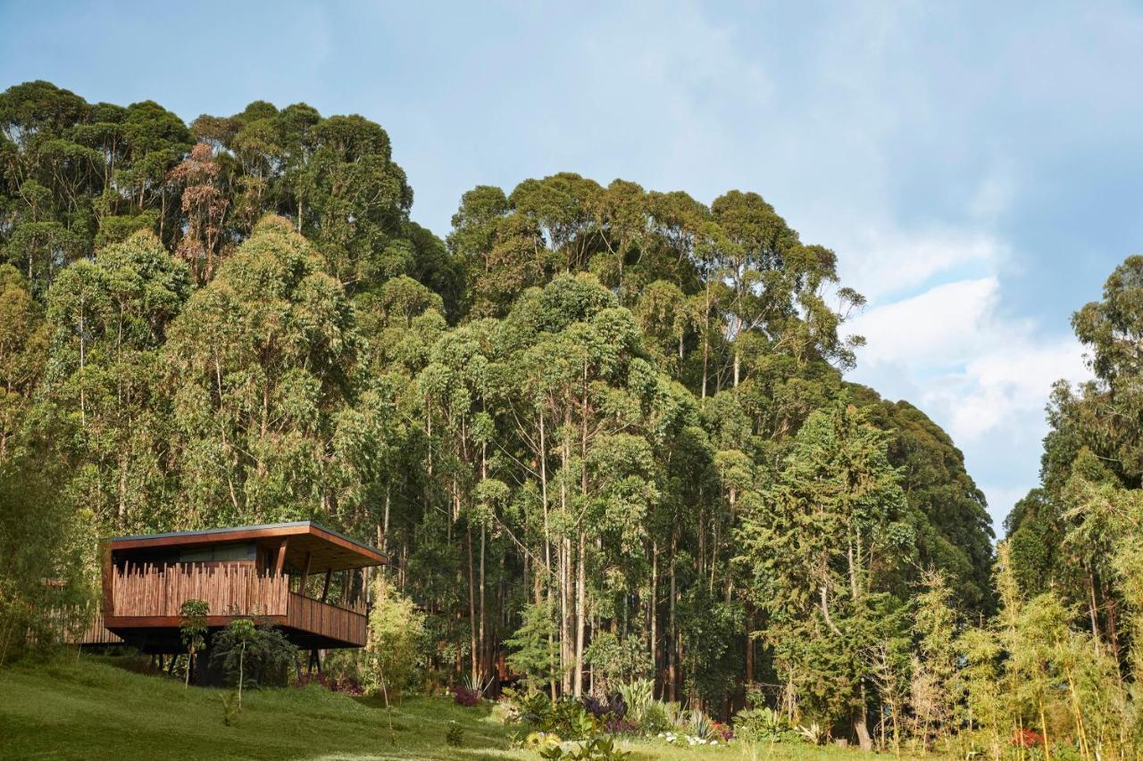 One&Only Gorilla'S Nest Hotell Kinigi Exteriör bild