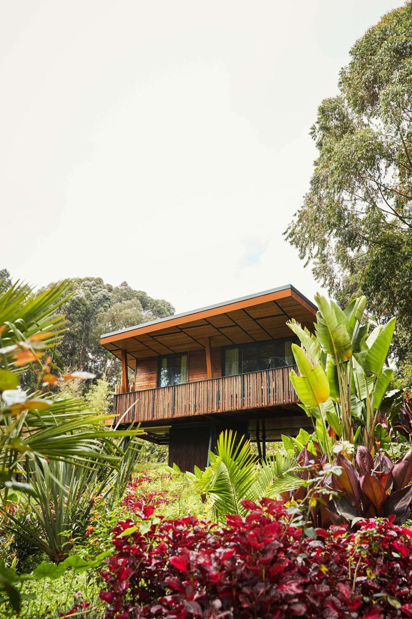 One&Only Gorilla'S Nest Hotell Kinigi Exteriör bild