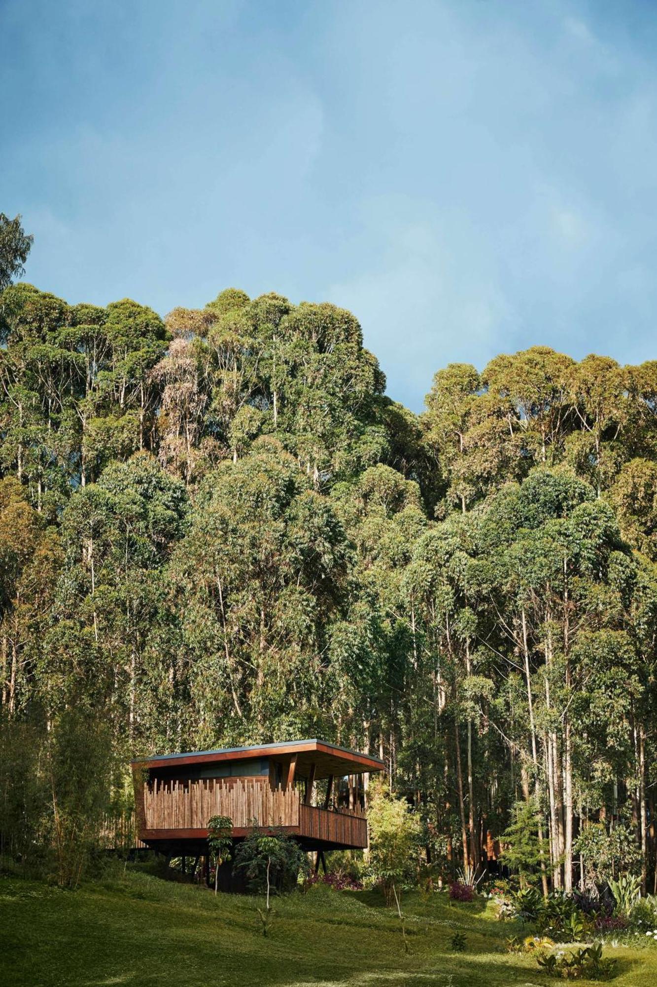 One&Only Gorilla'S Nest Hotell Kinigi Exteriör bild