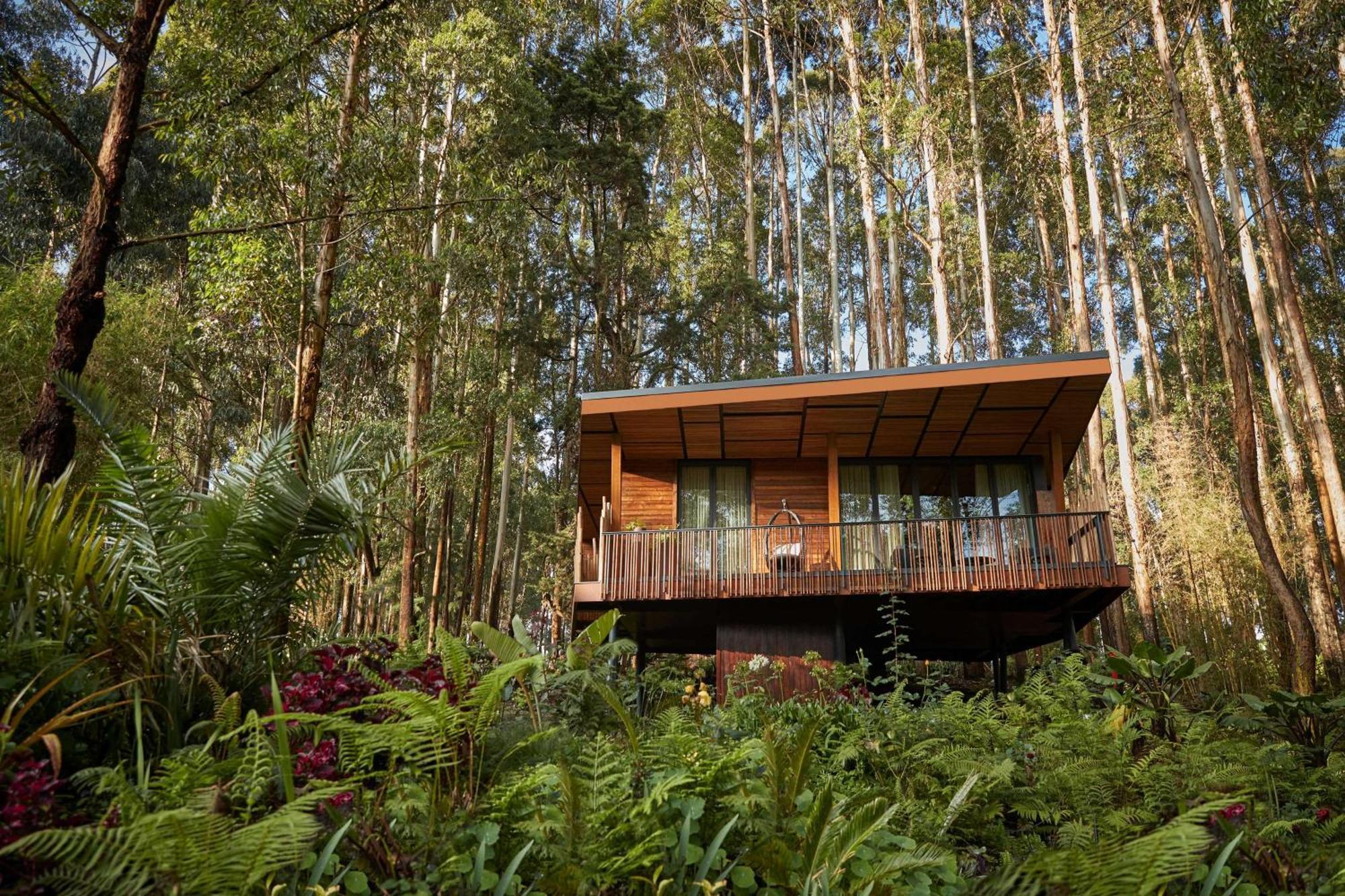 One&Only Gorilla'S Nest Hotell Kinigi Exteriör bild