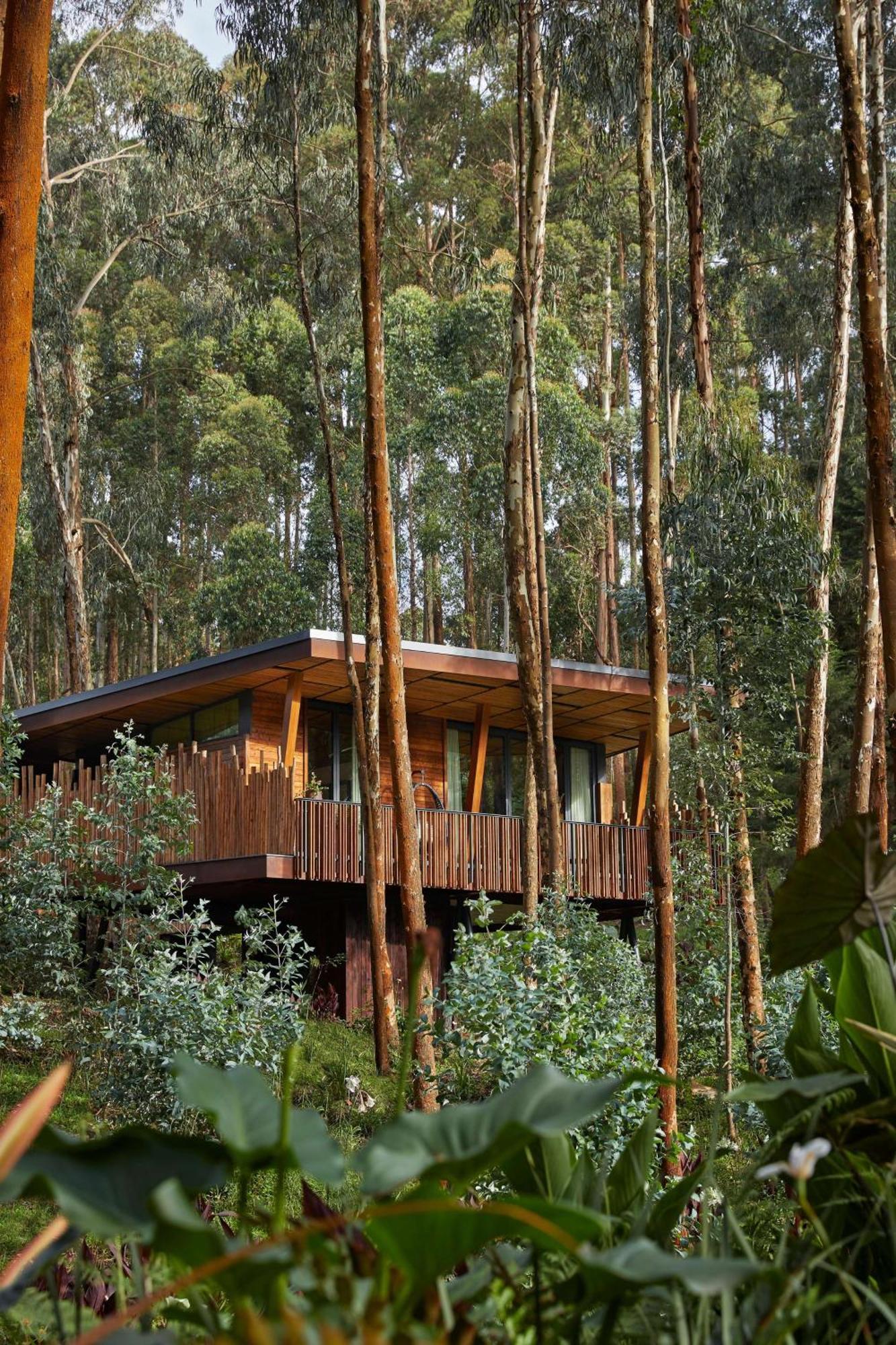 One&Only Gorilla'S Nest Hotell Kinigi Exteriör bild