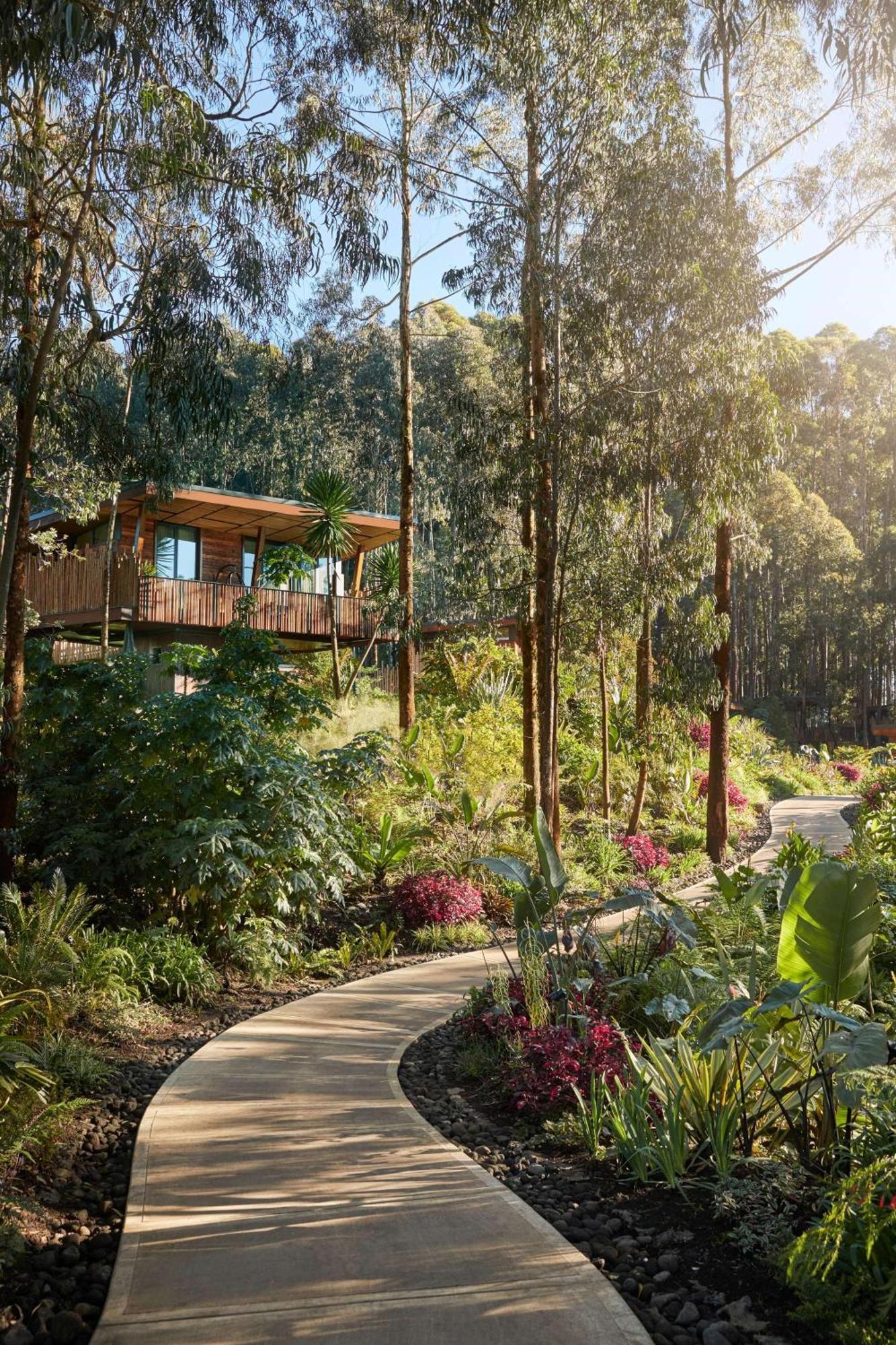 One&Only Gorilla'S Nest Hotell Kinigi Exteriör bild