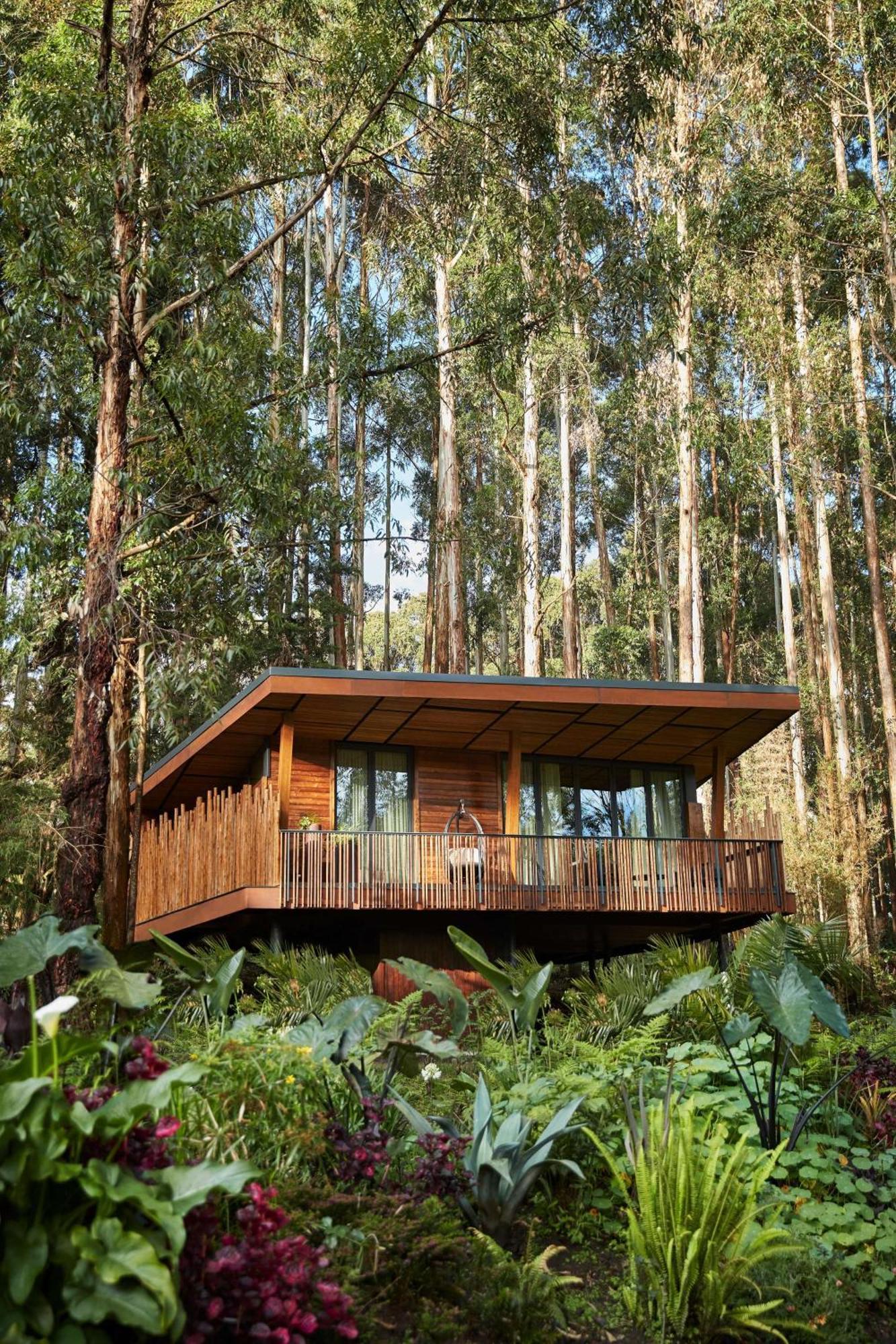 One&Only Gorilla'S Nest Hotell Kinigi Exteriör bild